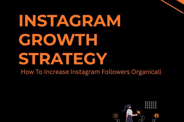 Instagram Growth Strategy